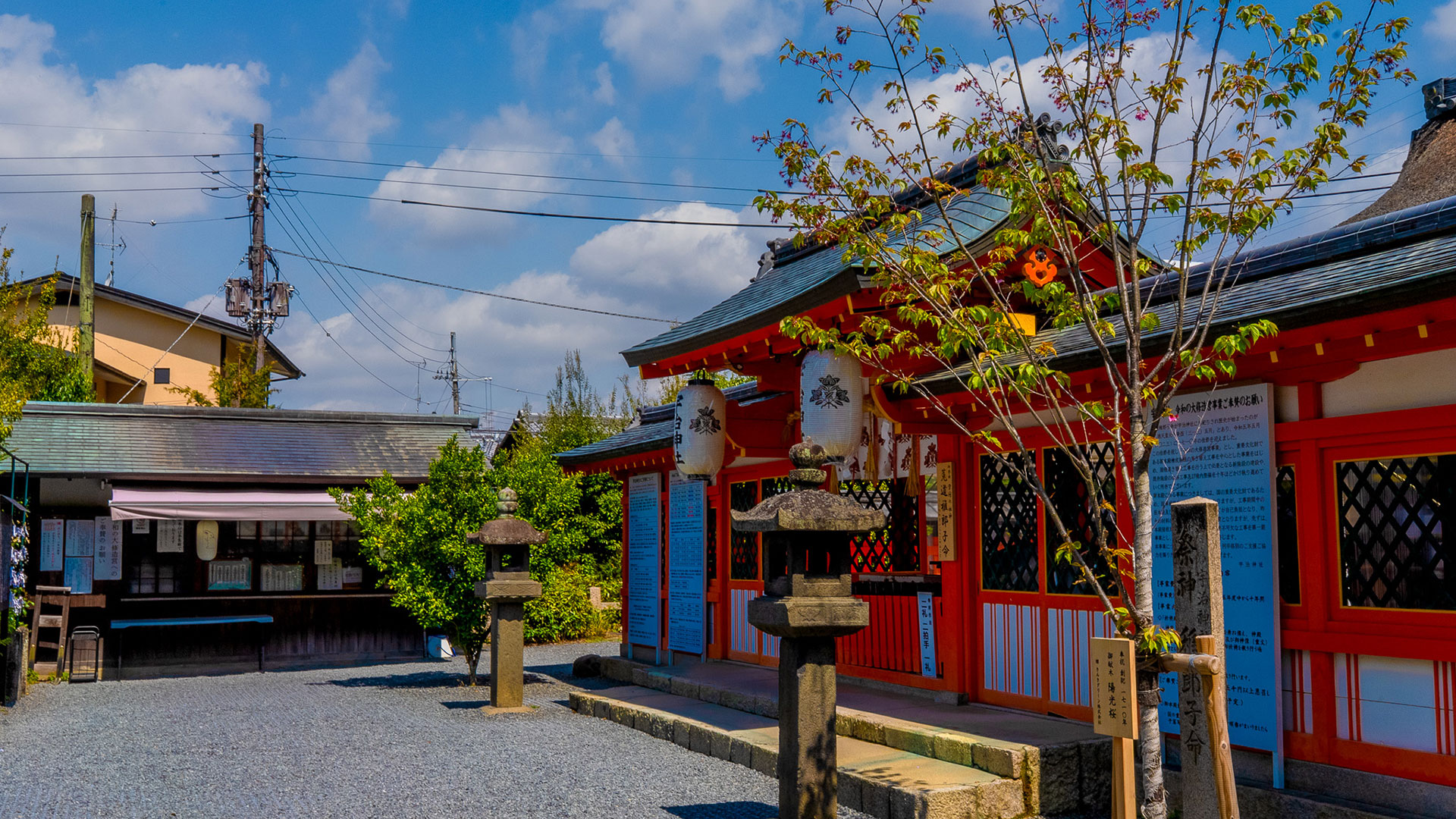 春の宇治上神社5