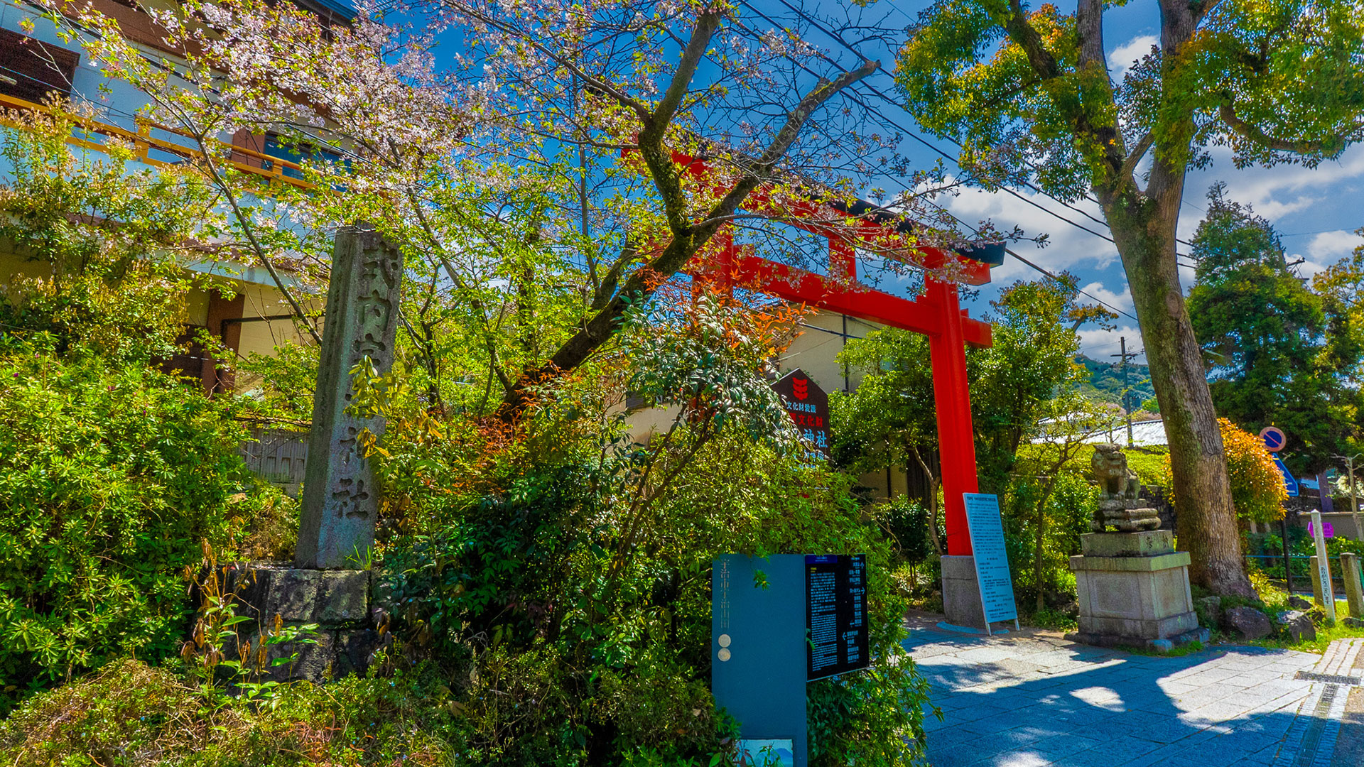 春の宇治上神社7