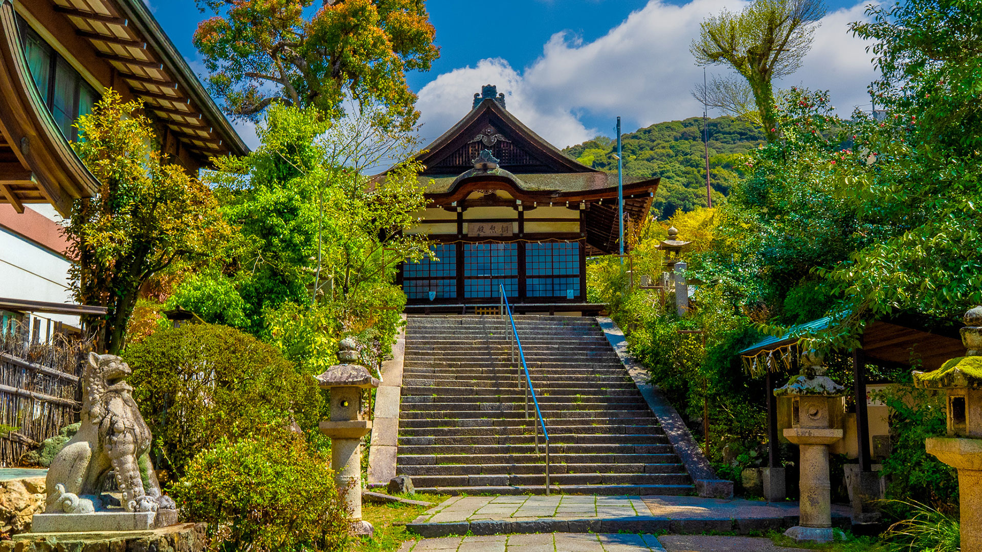 春の宇治上神社9