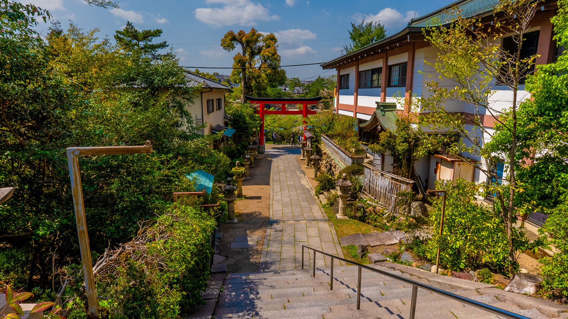 春の宇治上神社10