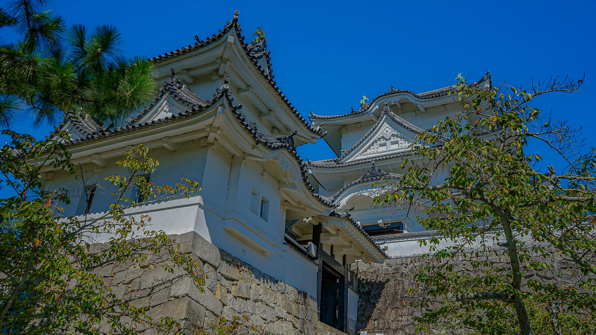 秋の伊賀上野城3