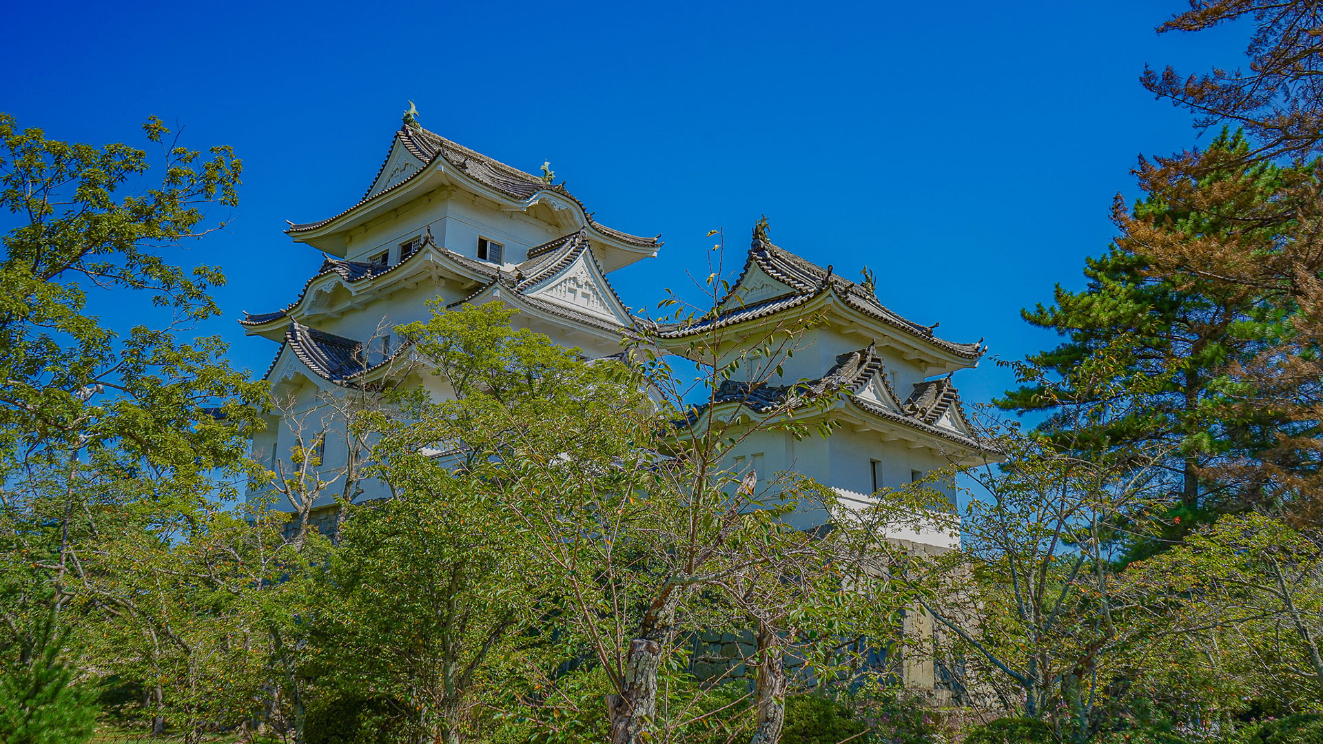 秋の伊賀上野城4