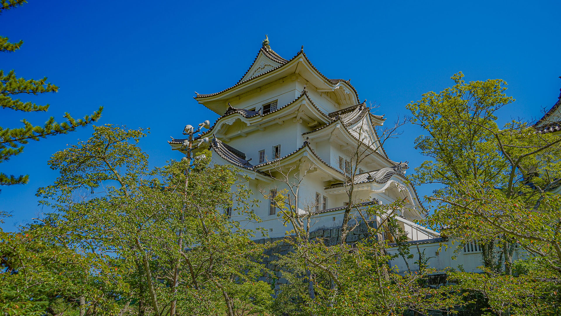 秋の伊賀上野城5