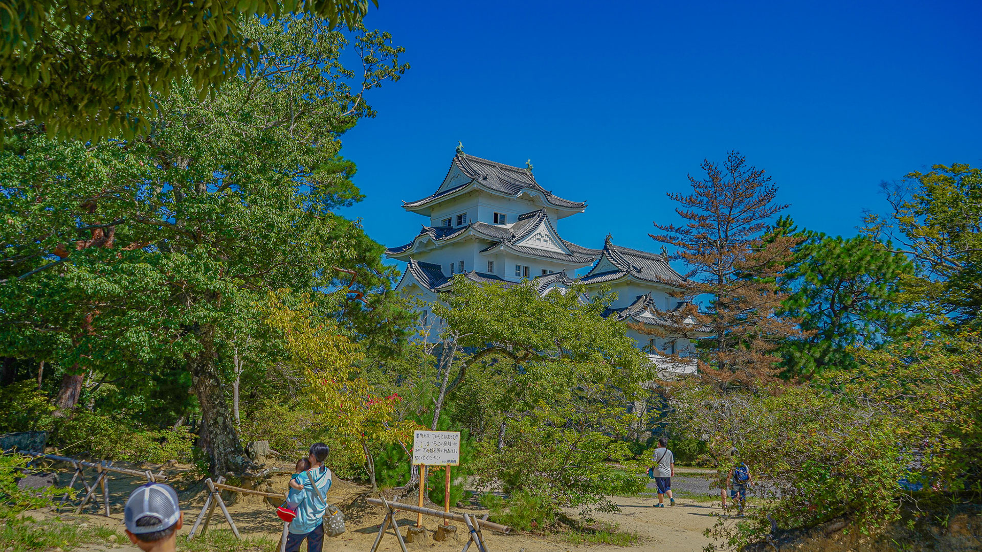 秋の伊賀上野城6