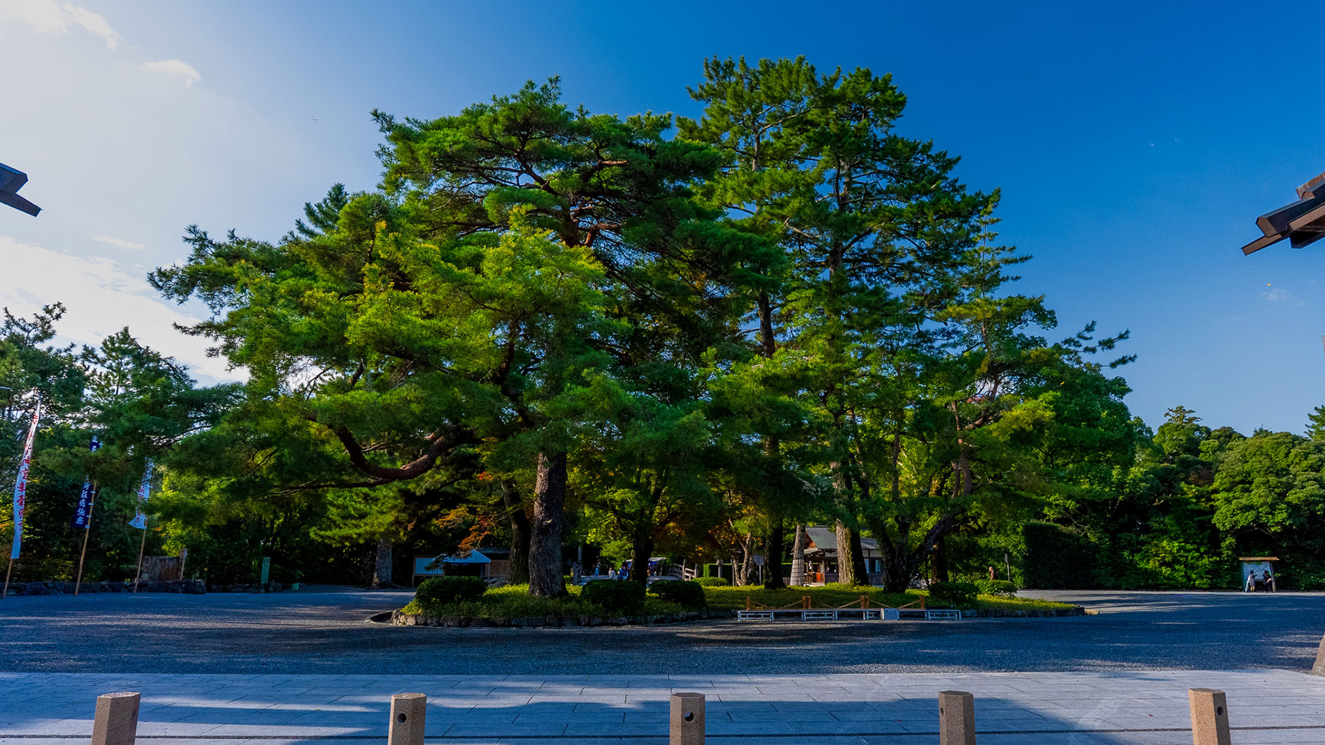 秋の伊勢神宮 外宮10