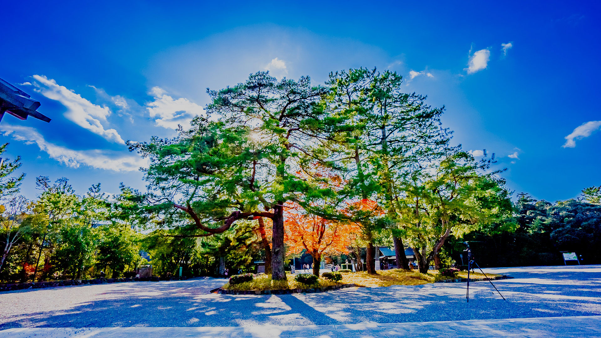 冬の伊勢神宮 外宮2