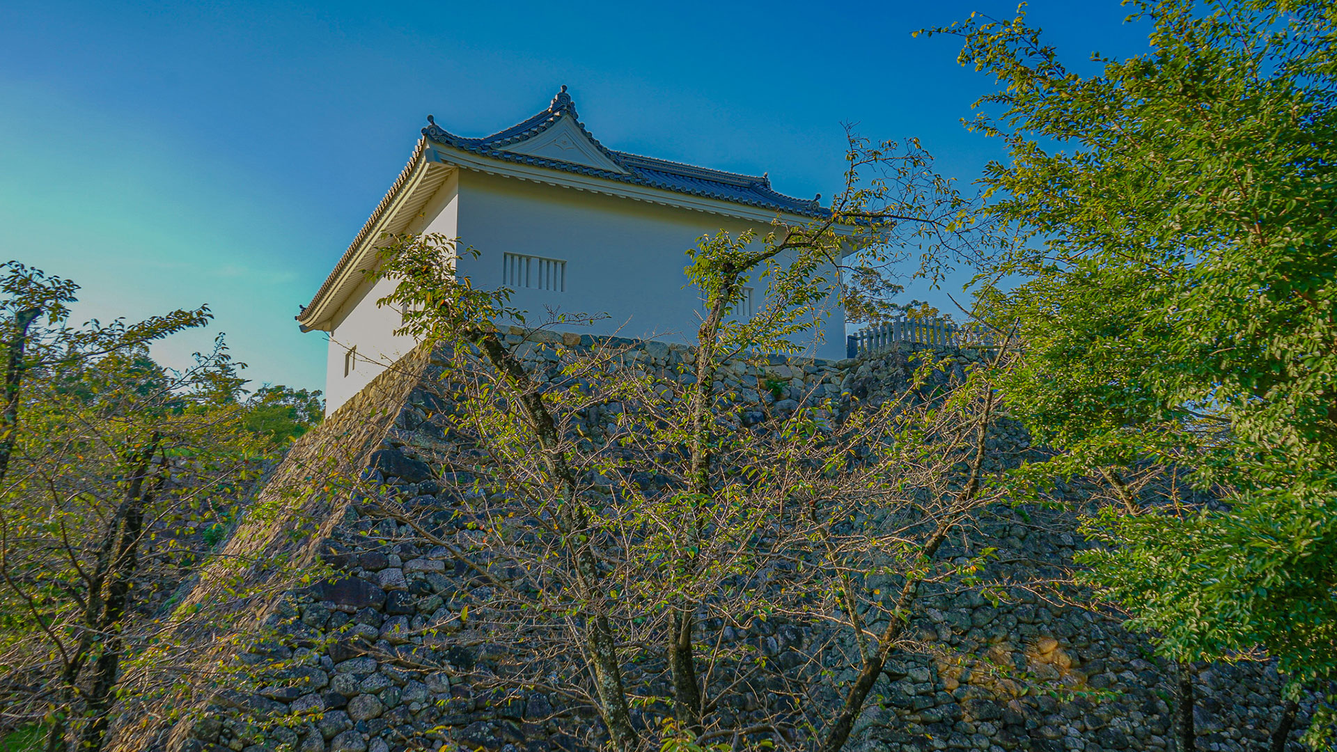 亀山城