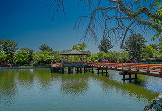 桑名城の見どころ3