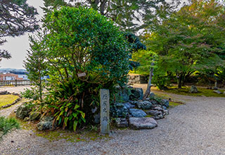 松坂城の見どころ5