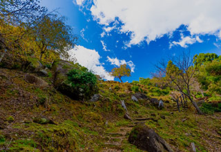 鬼ヶ城の見どころ3