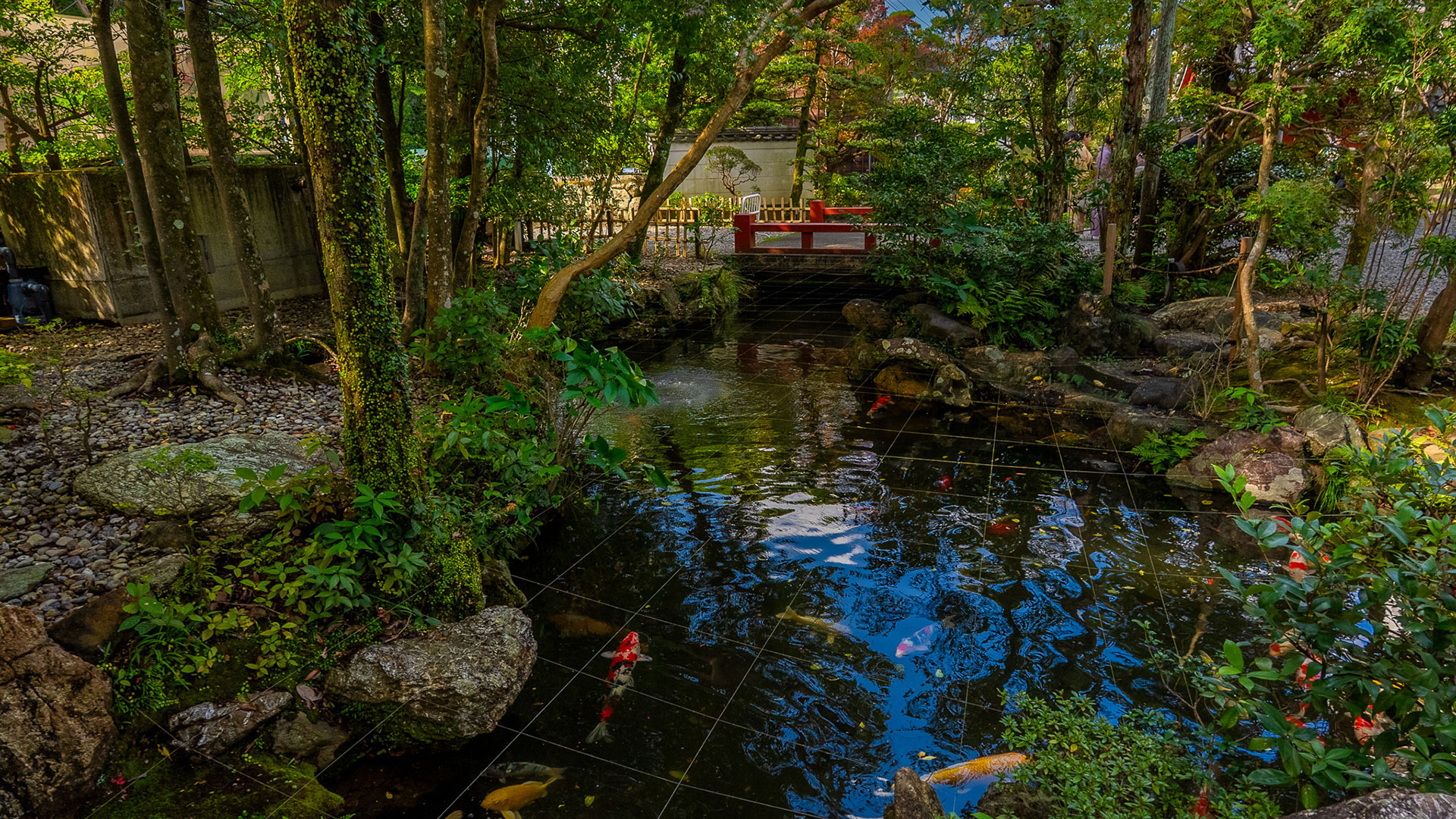 秋の猿田彦神社8