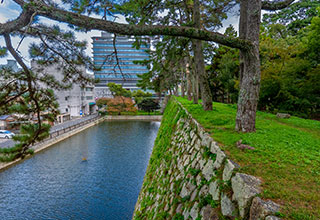 津城の見どころ3