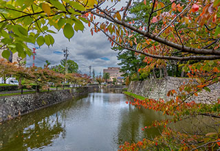 津城の見どころ6