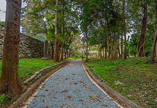 津城の見どころ13