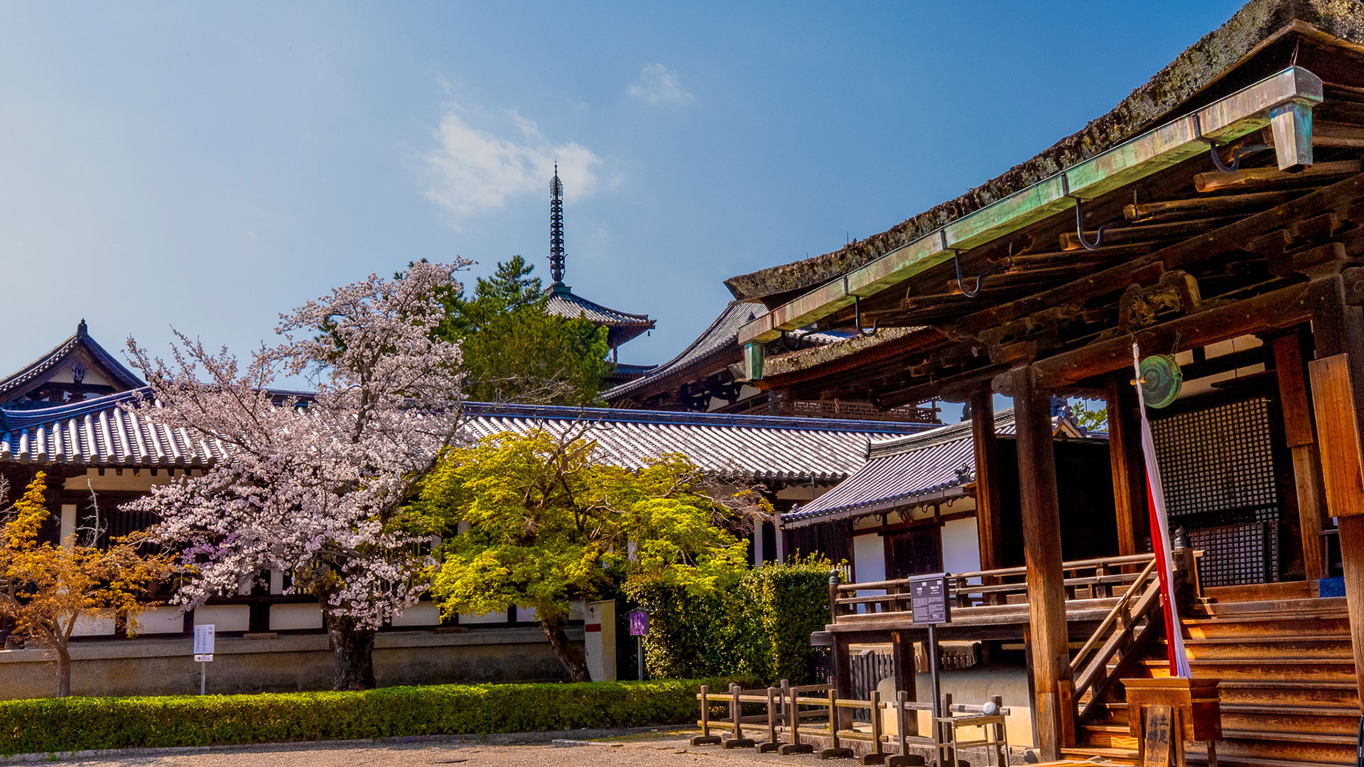 春の法隆寺7