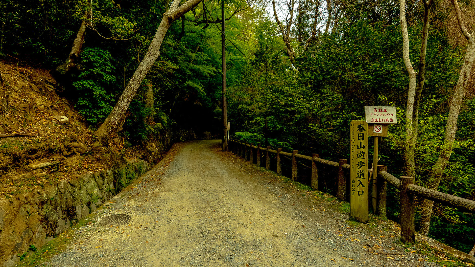 春の春日山原始林6