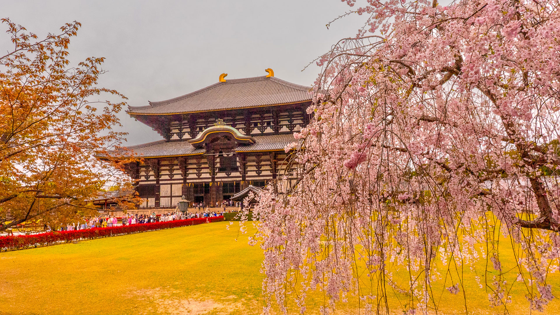 東大寺
