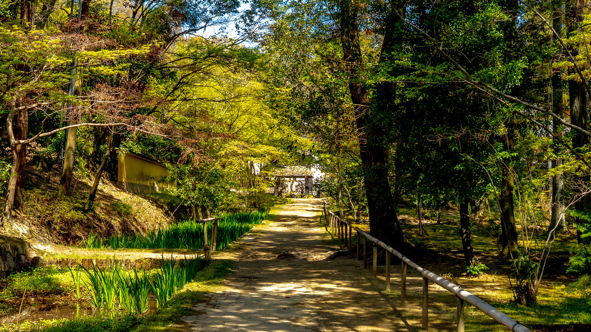 春の唐招提寺10