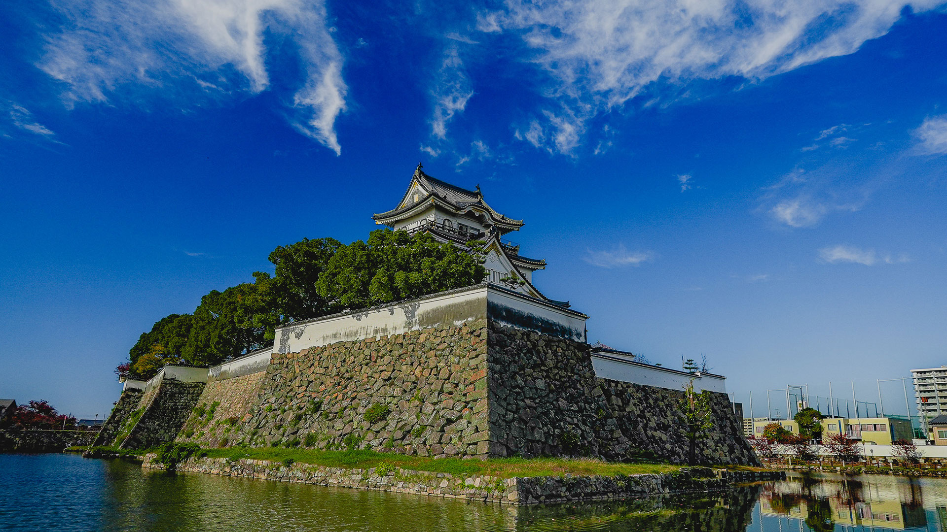 秋の岸和田城13