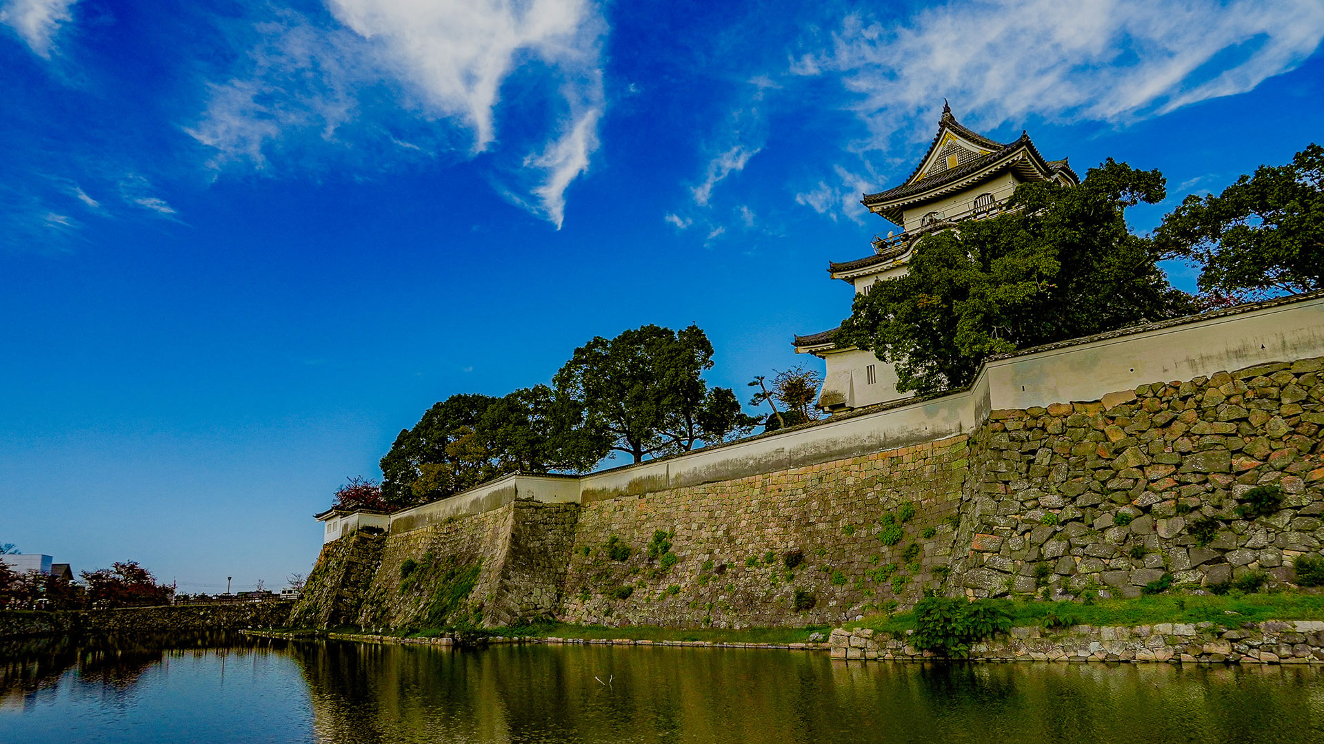 秋の岸和田城15