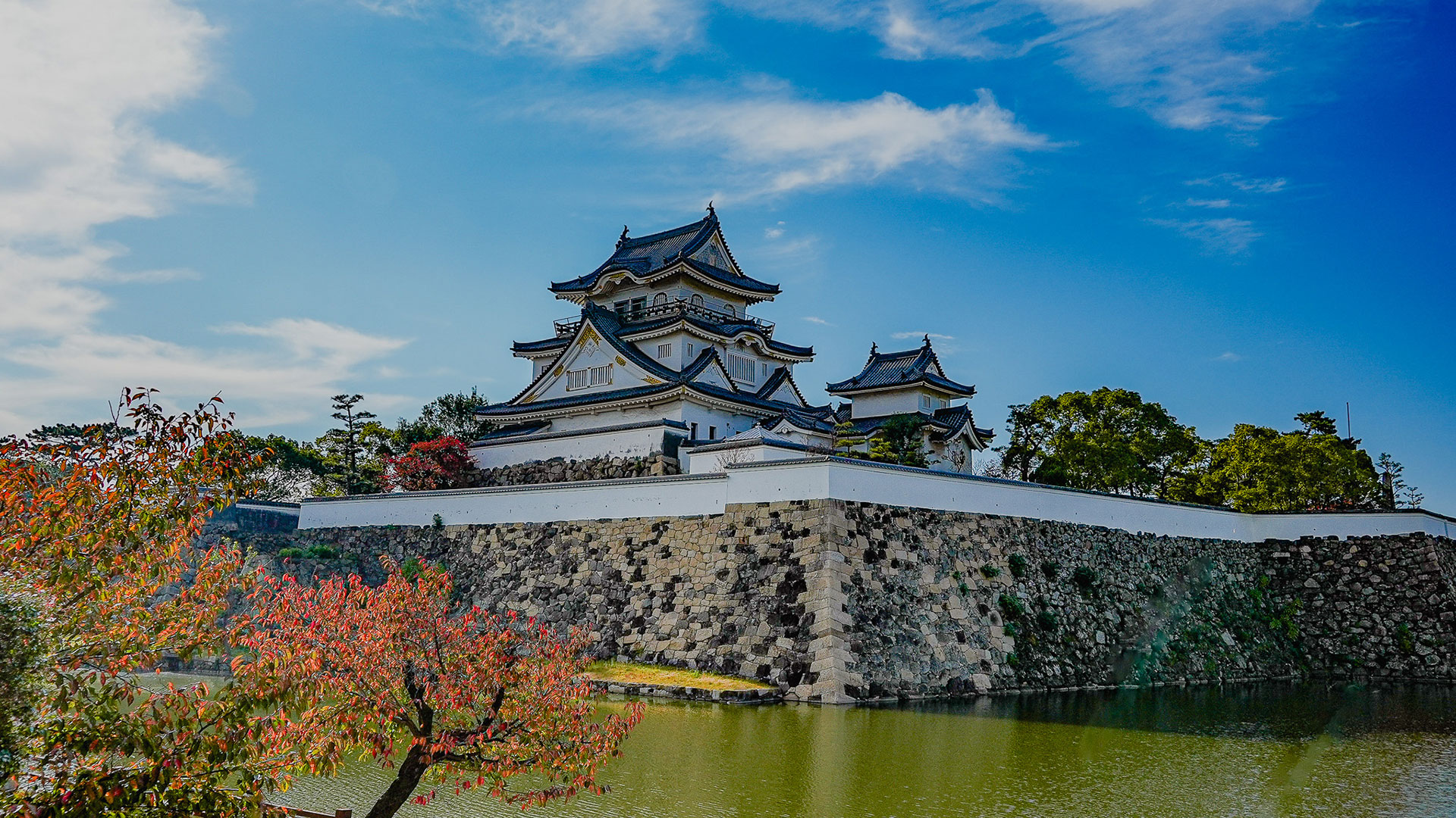 秋の岸和田城17