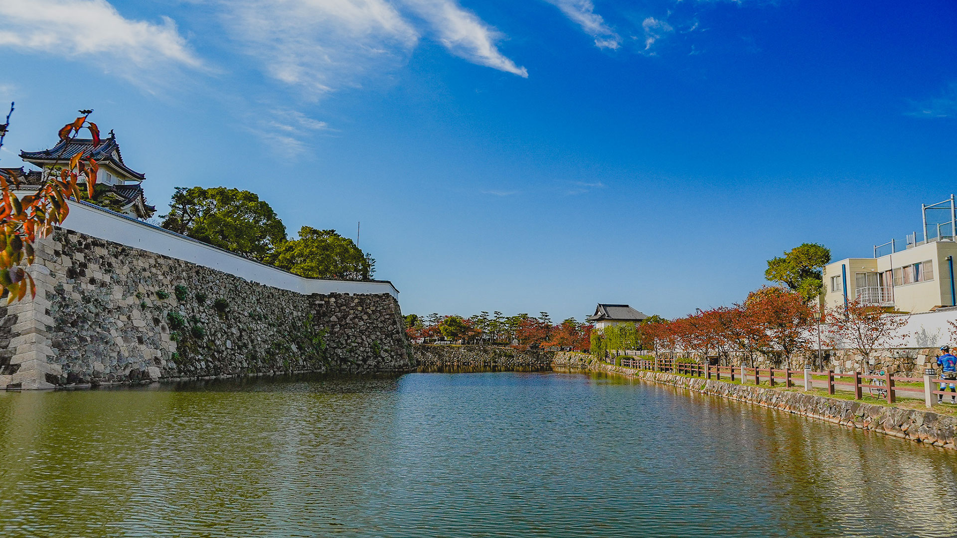 秋の岸和田城18