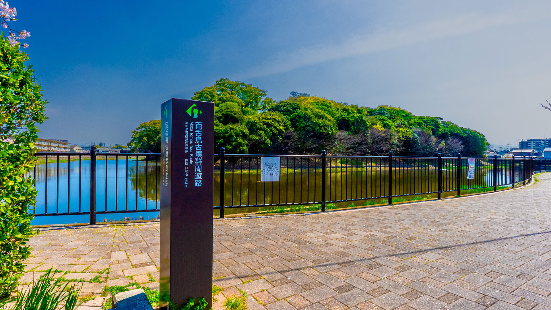 春の百舌鳥古墳群4