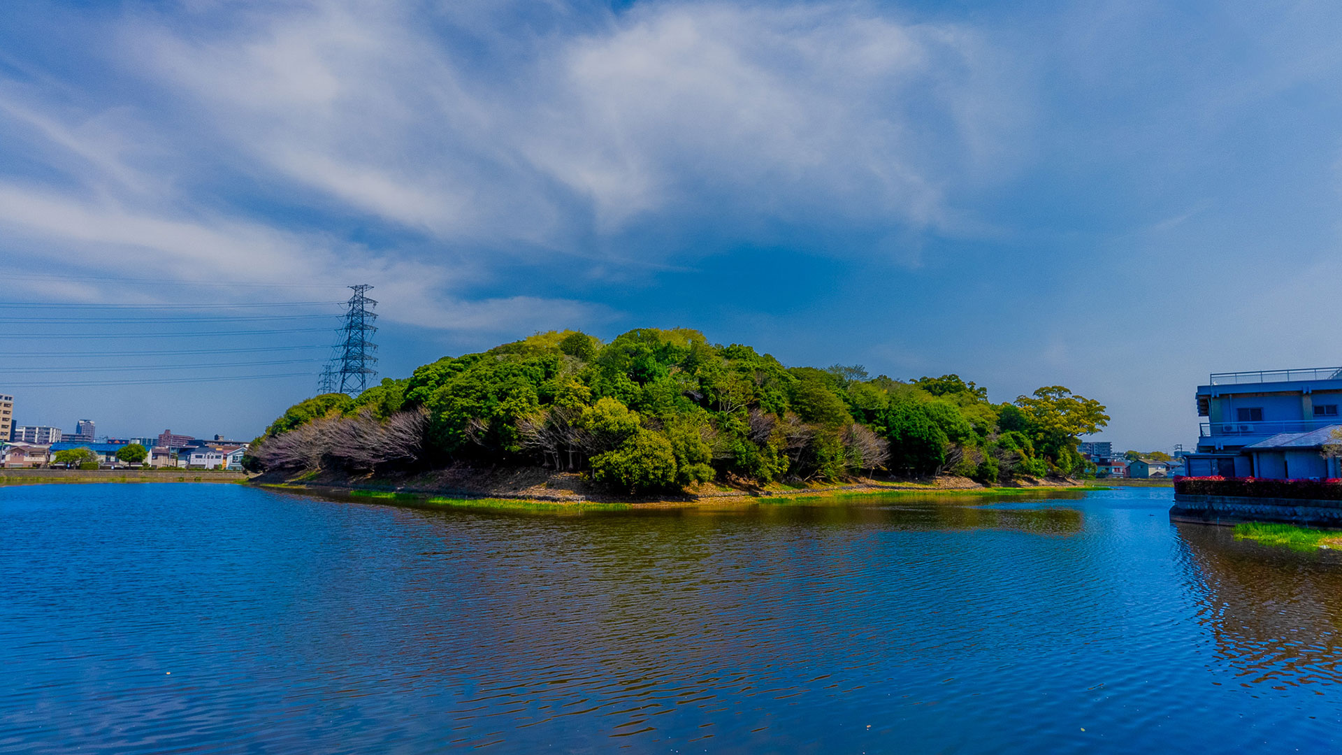 春の百舌鳥古墳群7