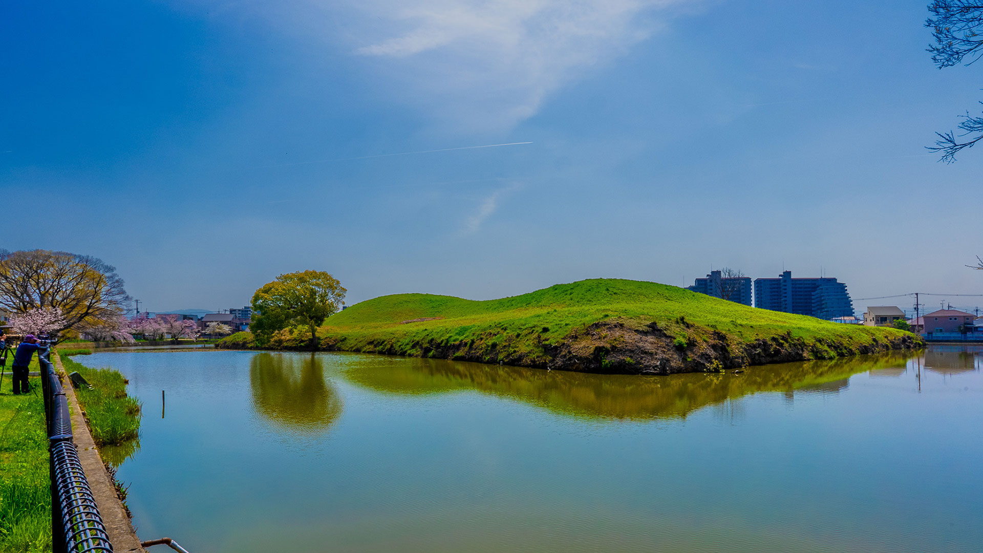 春の百舌鳥古墳群9
