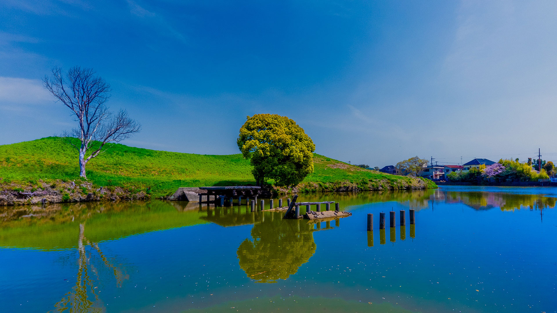 春の百舌鳥古墳群10