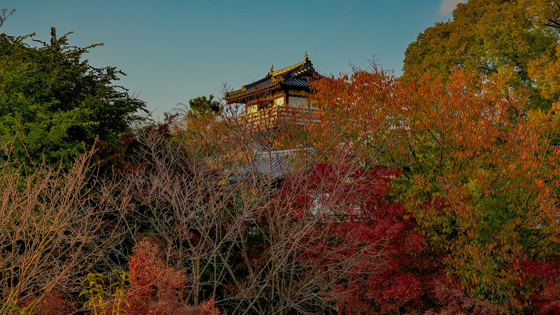 秋の摂津池田城10