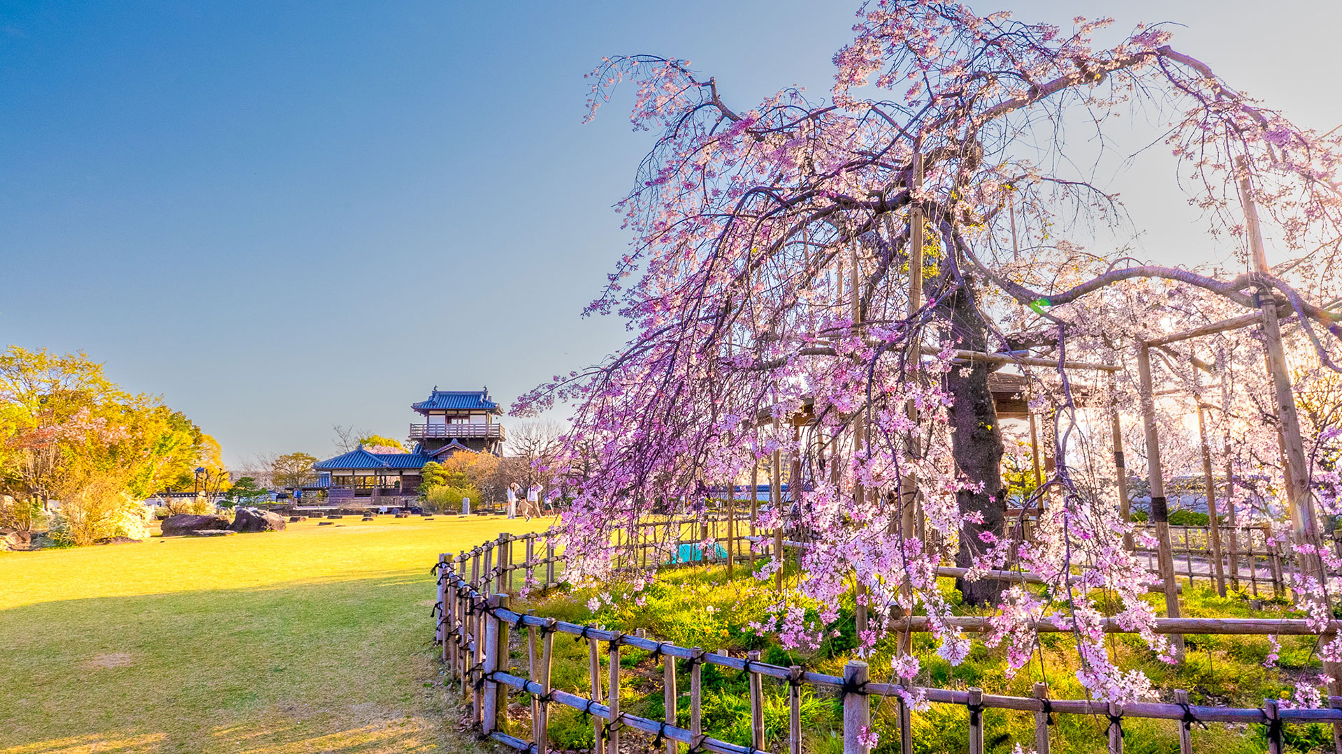 春の摂津池田城4