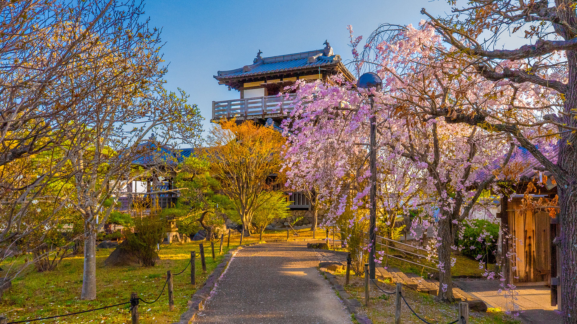 春の摂津池田城5