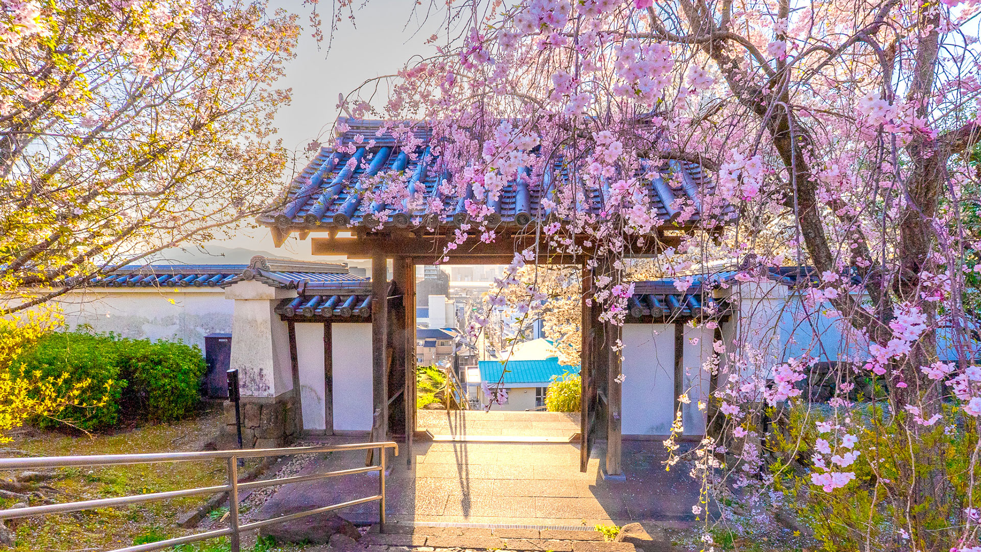 春の摂津池田城6