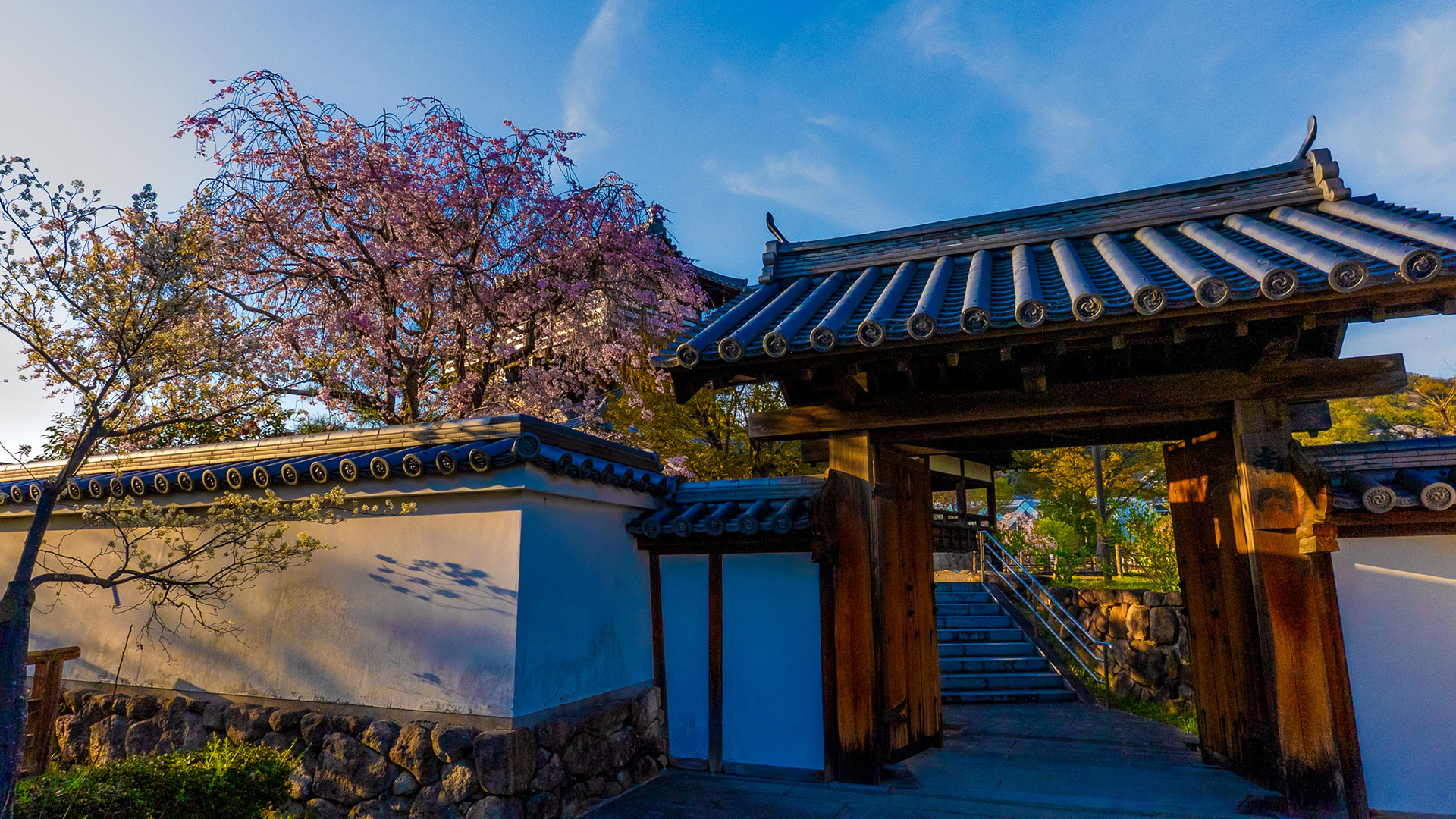 春の摂津池田城7