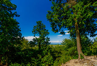 安土城の見どころ10