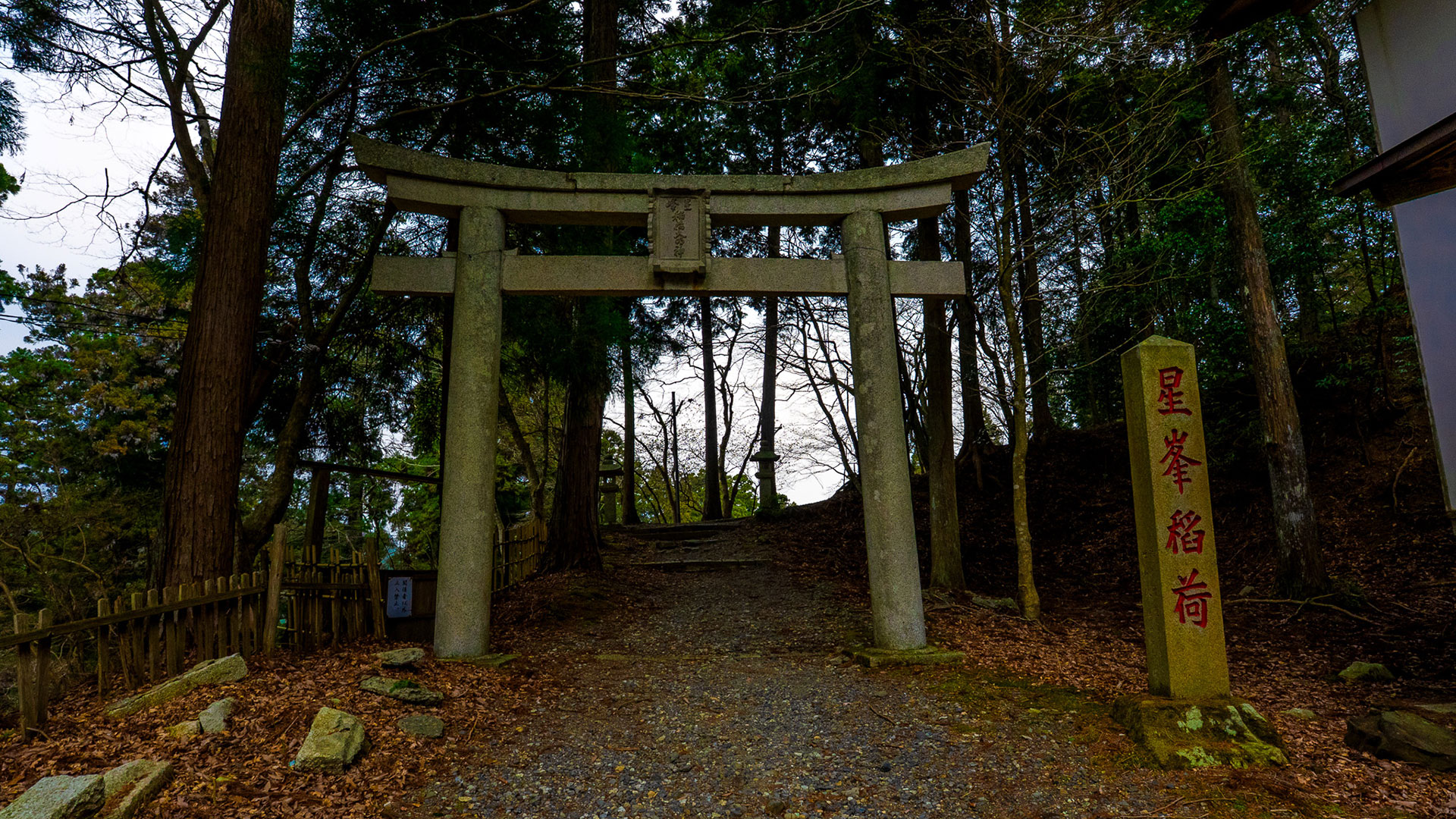 春の比叡山延暦寺6