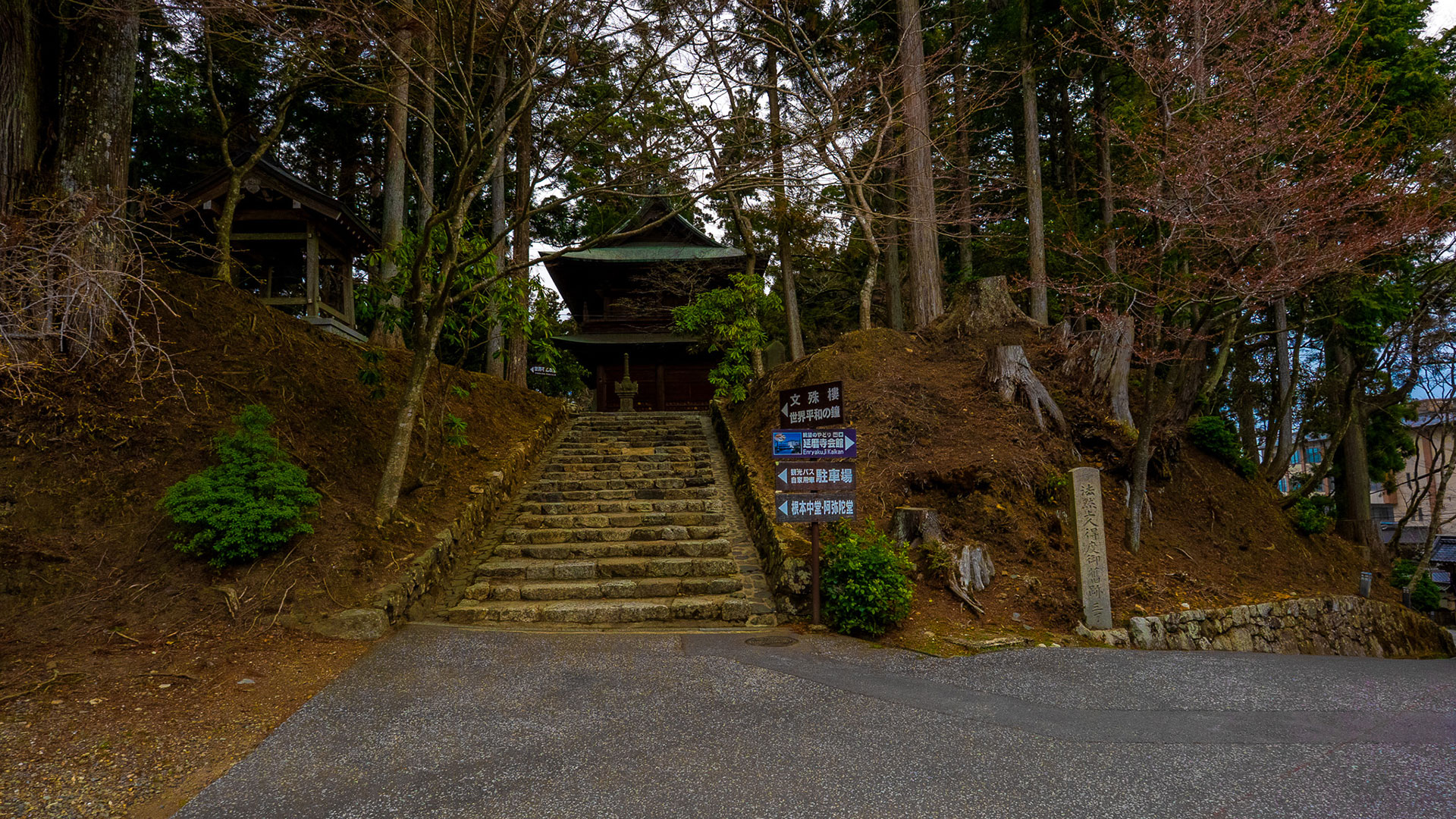 春の比叡山延暦寺7