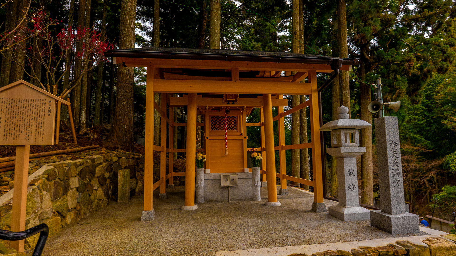 春の比叡山延暦寺9