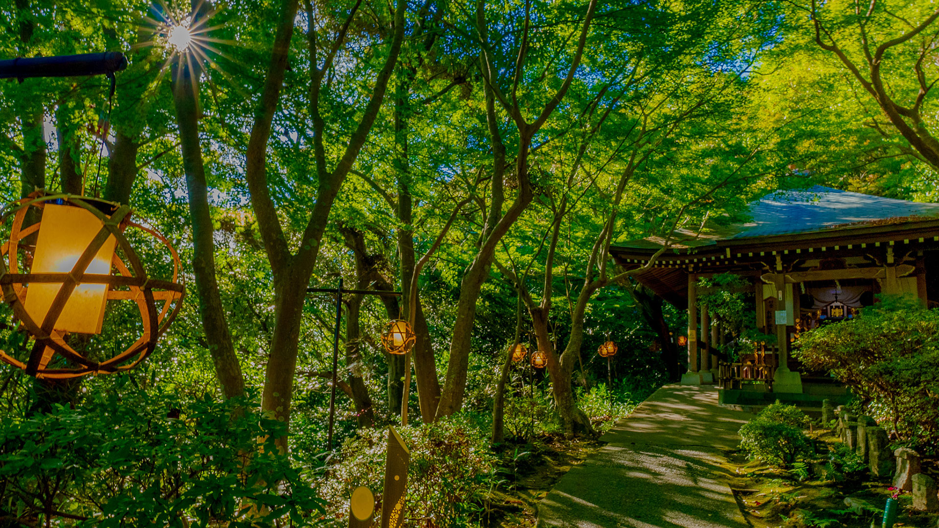 夏の近江八幡山城跡2
