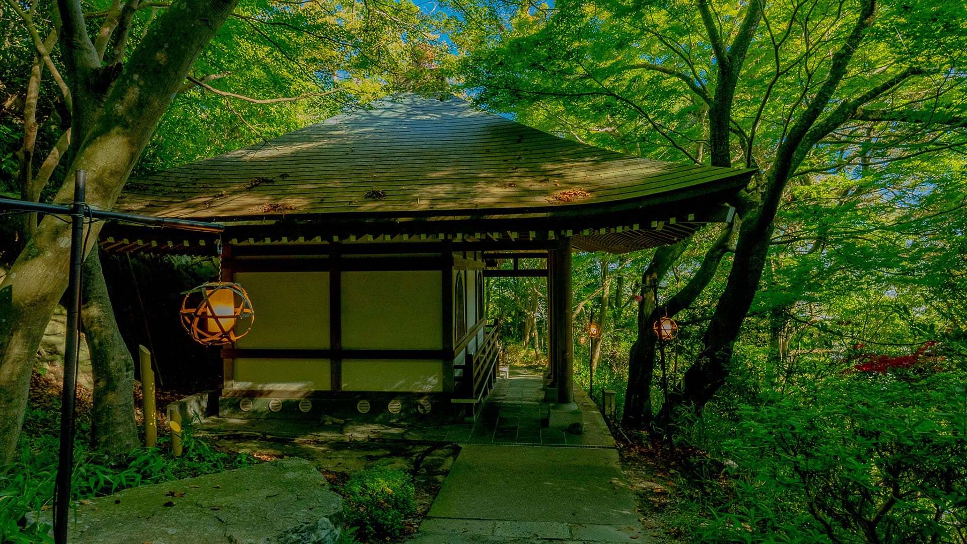 夏の近江八幡山城跡3