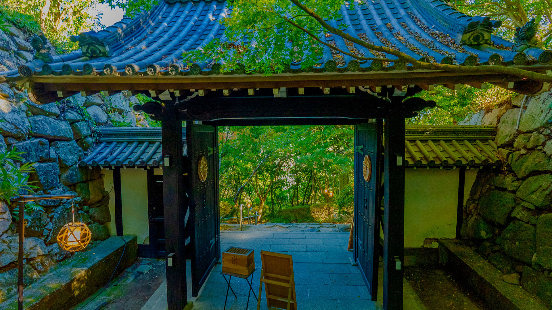 夏の近江八幡山城跡4