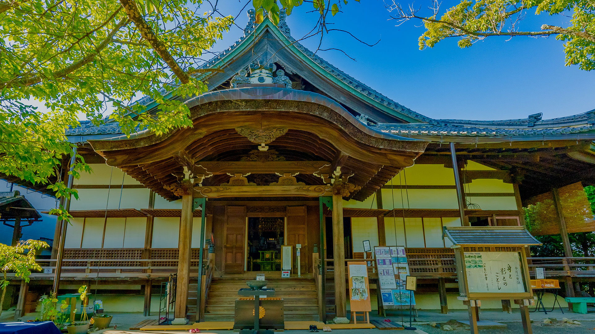 夏の近江八幡山城跡5