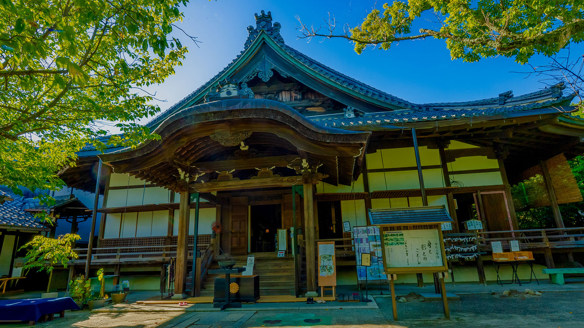 夏の近江八幡山城跡6