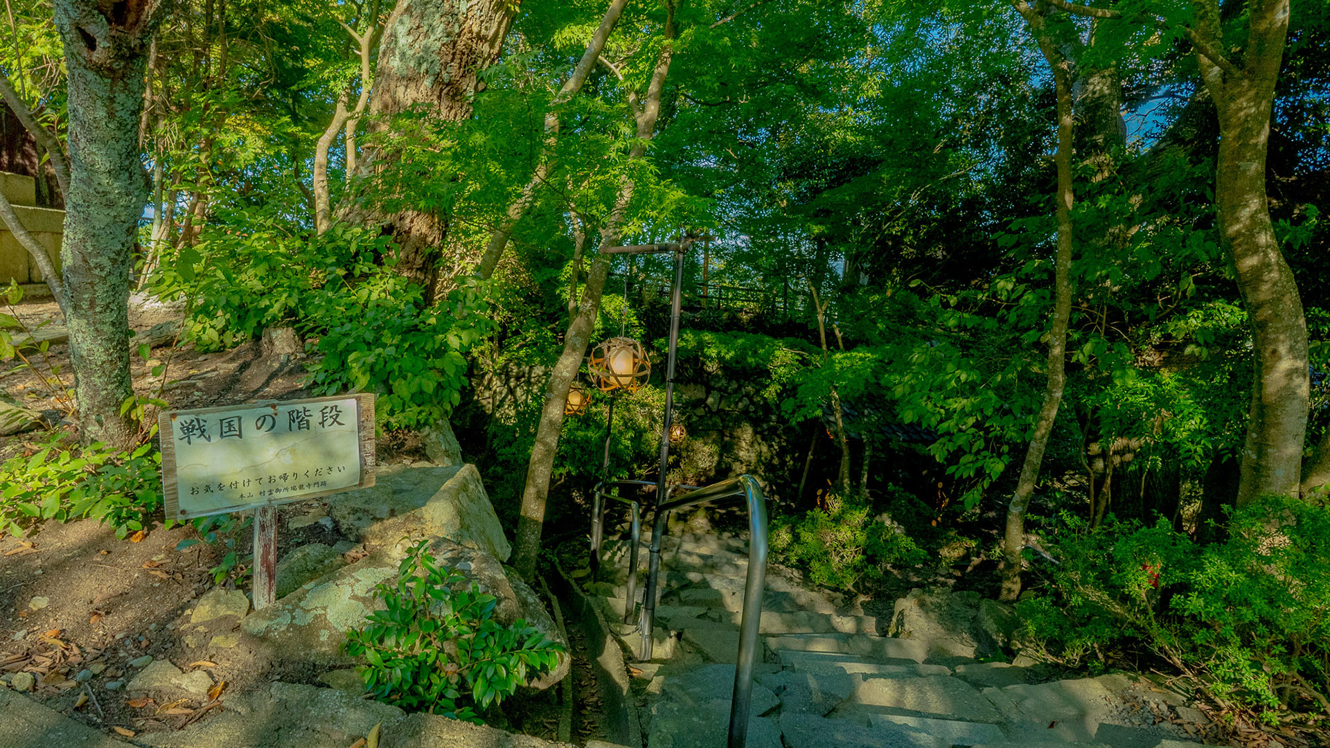 夏の近江八幡山城跡9