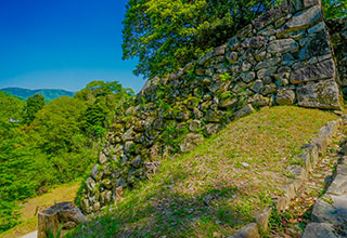 彦根城の見どころ5