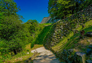 彦根城の見どころ6