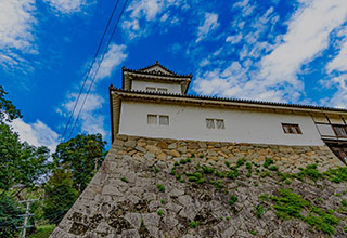 彦根城の見どころ8