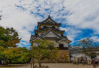 彦根城の見どころ13