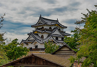 彦根城の見どころ14